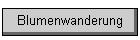 Blumenwanderung